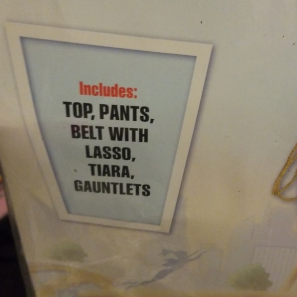 Super Hero Girl Custom - Picture 2 of 2